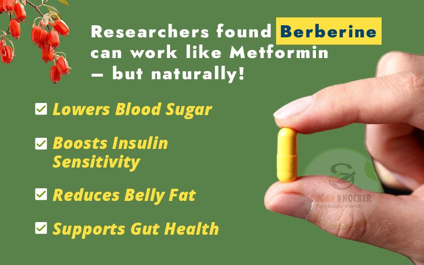 Photo inspiration: The Glp 1 Berberine Connection Natural Blood Sugar Control Photo Inspiration